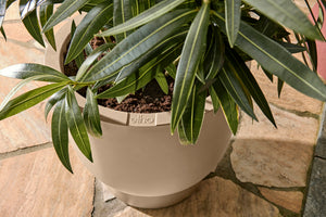 Elho Amber Coupe bloempot Ø41 cm Balanced Beige