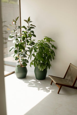 Elho June Split Low bloempot Ø46 cm Smaragdgroen