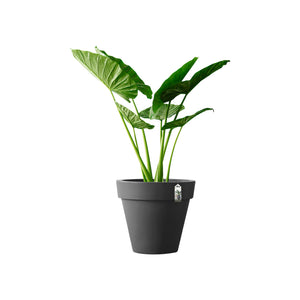 Elho Pure Round bloempot Ø80 Antraciet