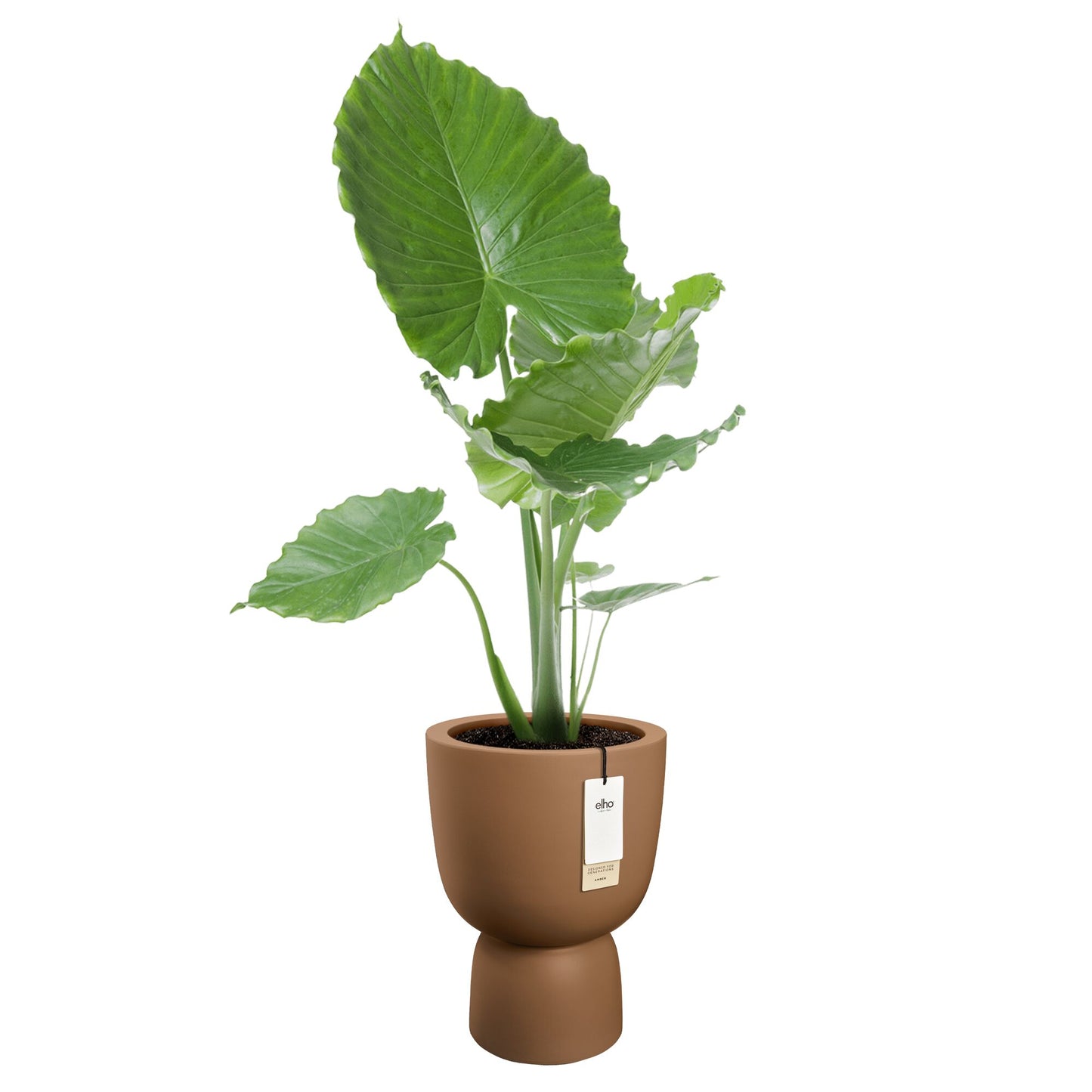 Elho Amber Coupe bloempot Ø35 cm Karamel