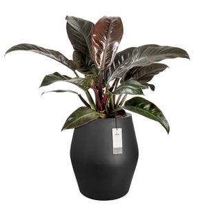 Elho June Split High bloempot Ø46 cm Zwart