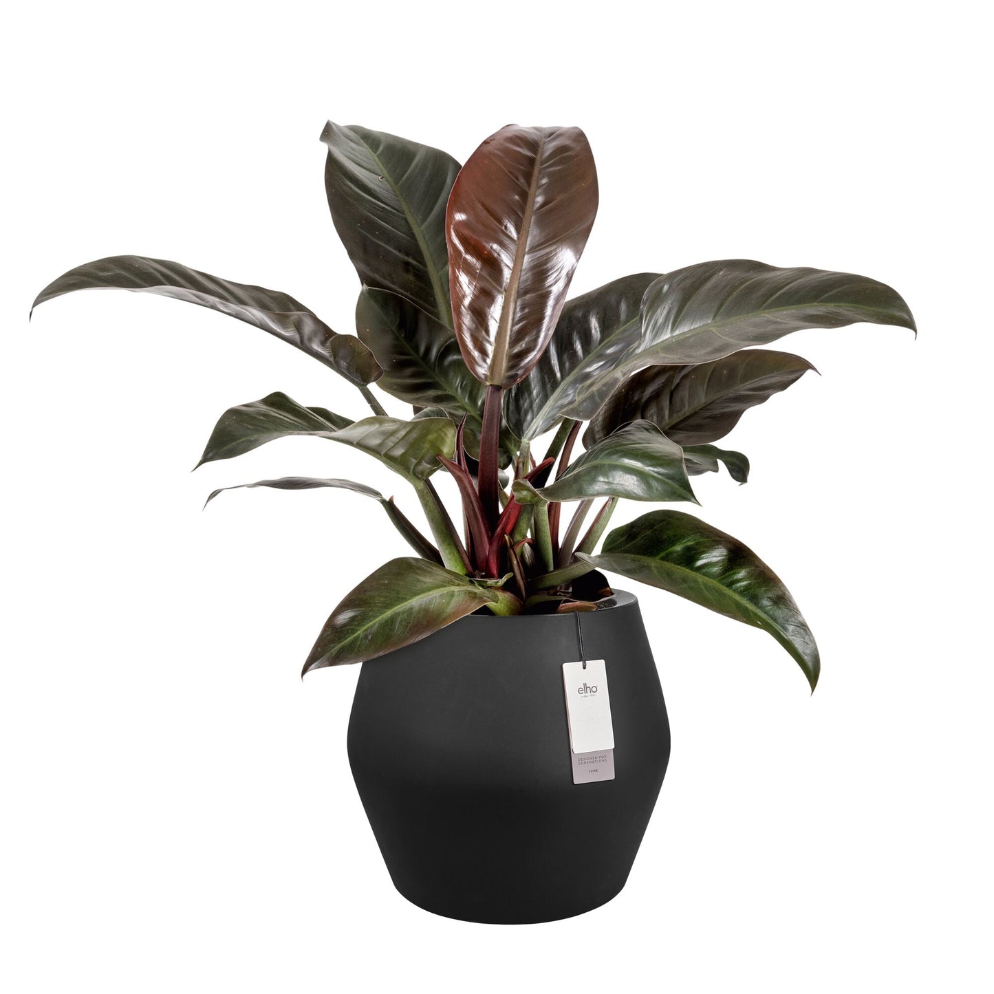 Elho June Split Low bloempot Ø46 cm Zwart