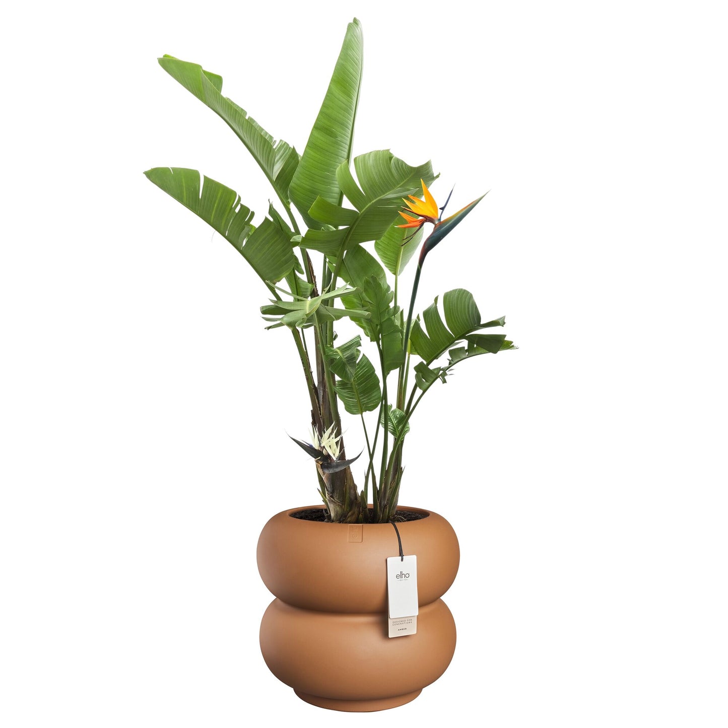 Elho Amber Roll Low bloempot Ø43 cm Karamel