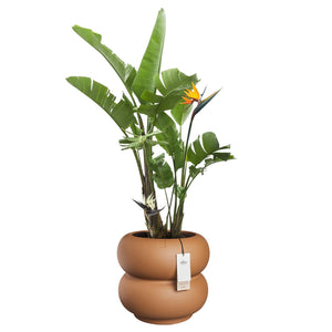 Elho Amber Roll Low bloempot Ø43 cm Karamel