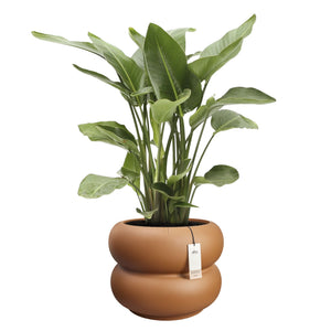 Elho Amber Roll Low bloempot Ø60 cm Karamel