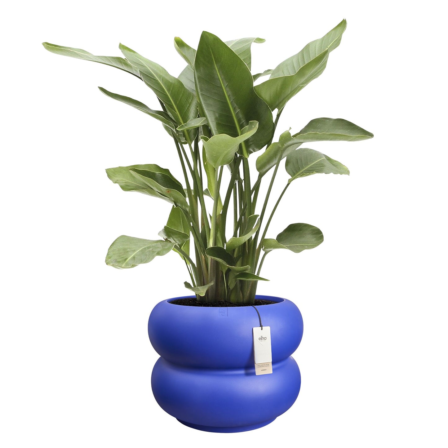 Elho Amber Roll Low bloempot  Ø60 cm Royal Blue