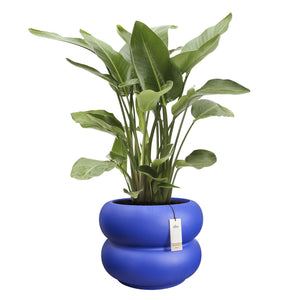 Elho Amber Roll Low bloempot  Ø60 cm Royal Blue