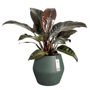 Elho June Split Low bloempot Ø46 cm Smaragdgroen