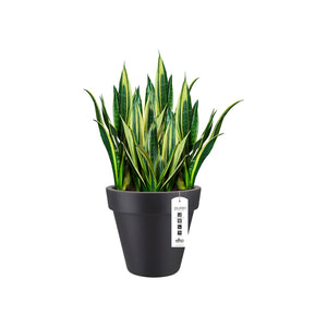 Elho Pure Round bloempot Ø40 cm Antraciet