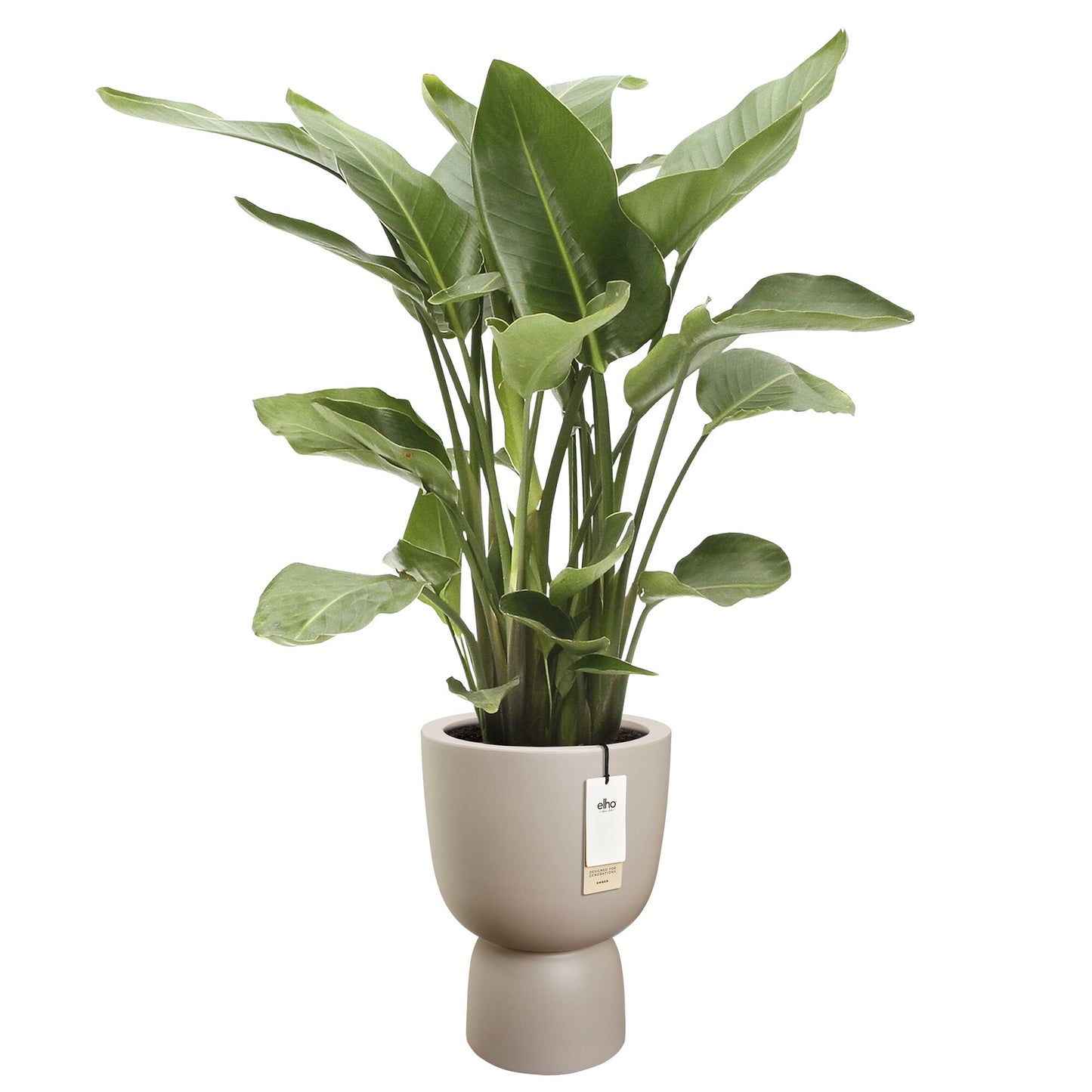 Elho Amber Coupe bloempot Ø35 cm Balanced Beige