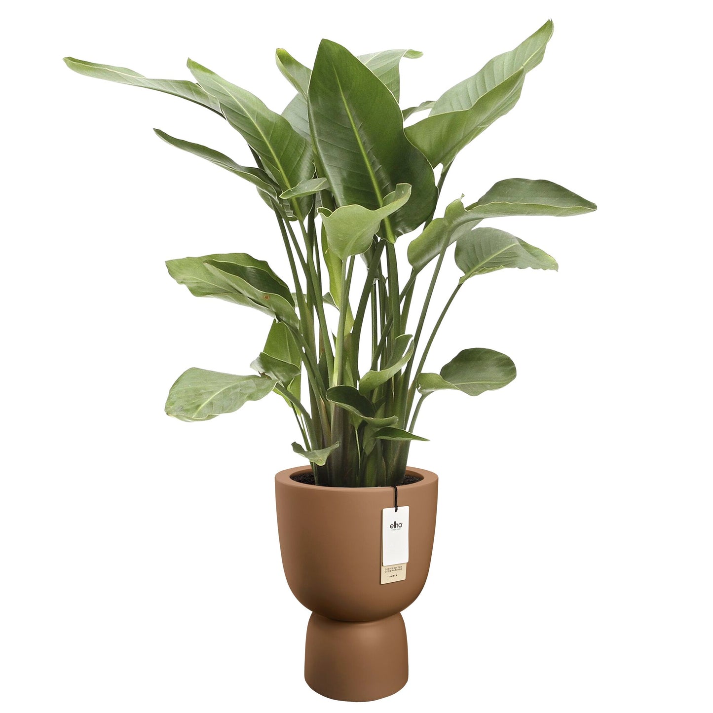 Elho Amber Coupe bloempot Ø35 cm Karamel