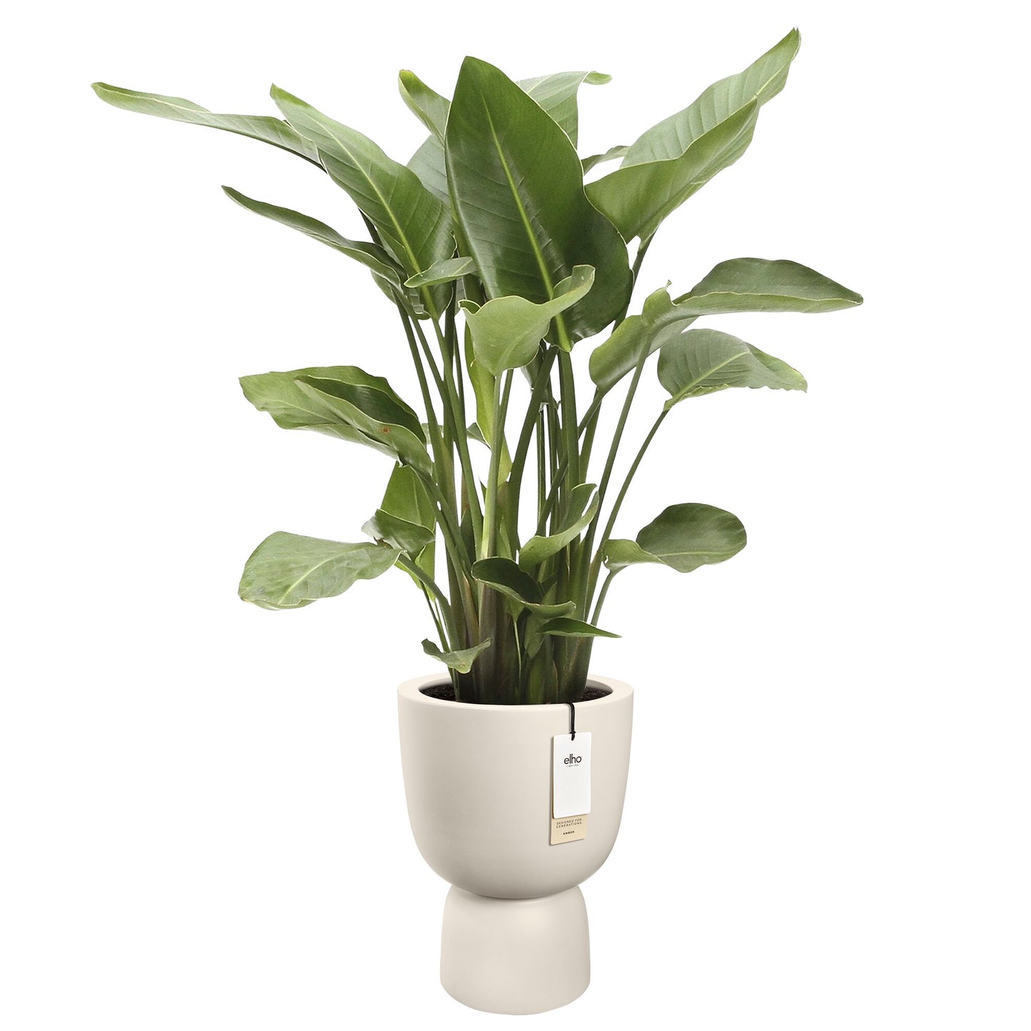 Elho Amber Coupe bloempot Ø41 cm Linen White