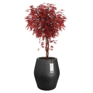 Elho June Split High bloempot Ø46 cm Zwart