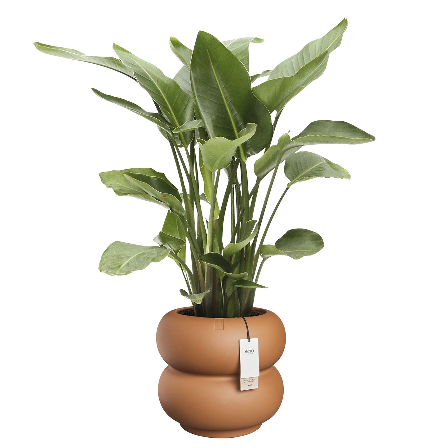 Elho Amber Roll Low bloempot Ø43 cm Karamel