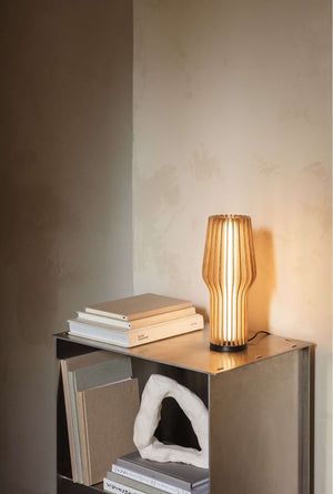Eva Solo Radiant tafellamp Bruin