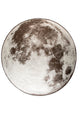 Zuiver Moon Outdoor vloerkleed Ø200 cm Grijs