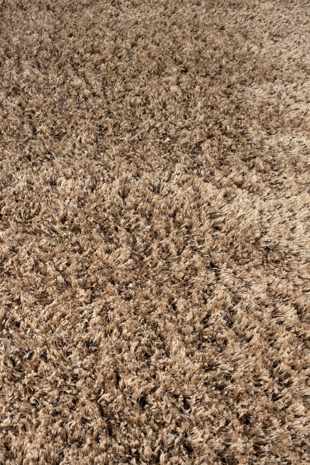 Zuiver Tasty vloerkleed 200x290 cm Brown