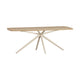 WOOOD Tablo eettafel Deens ovaal 220x100 cm Transparant grijs