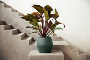 Elho June Split Low bloempot Ø46 cm Smaragdgroen