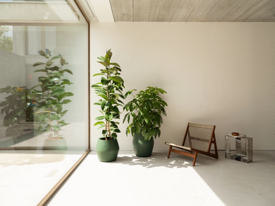 Elho June Split High bloempot Ø46 cm Smaragdgroen