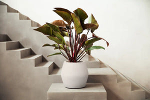 Elho June Split Low bloempot Ø46 cm Linnen White
