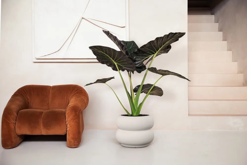 Elho Amber Roll Low bloempot Ø60 cm Linnen White