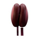 Stoov Stoons elektrische handwarmers Signature Red