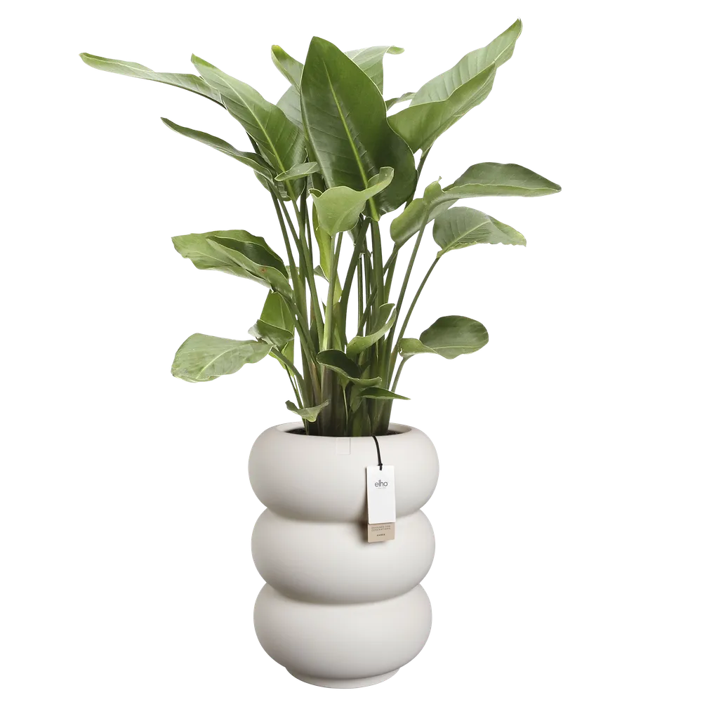 Elho Amber Roll High bloempot Ø43 cm Linnen White