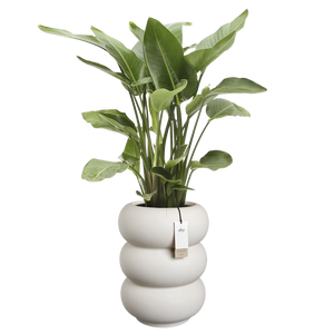 Elho Amber Roll High bloempot Ø43 cm Linnen White