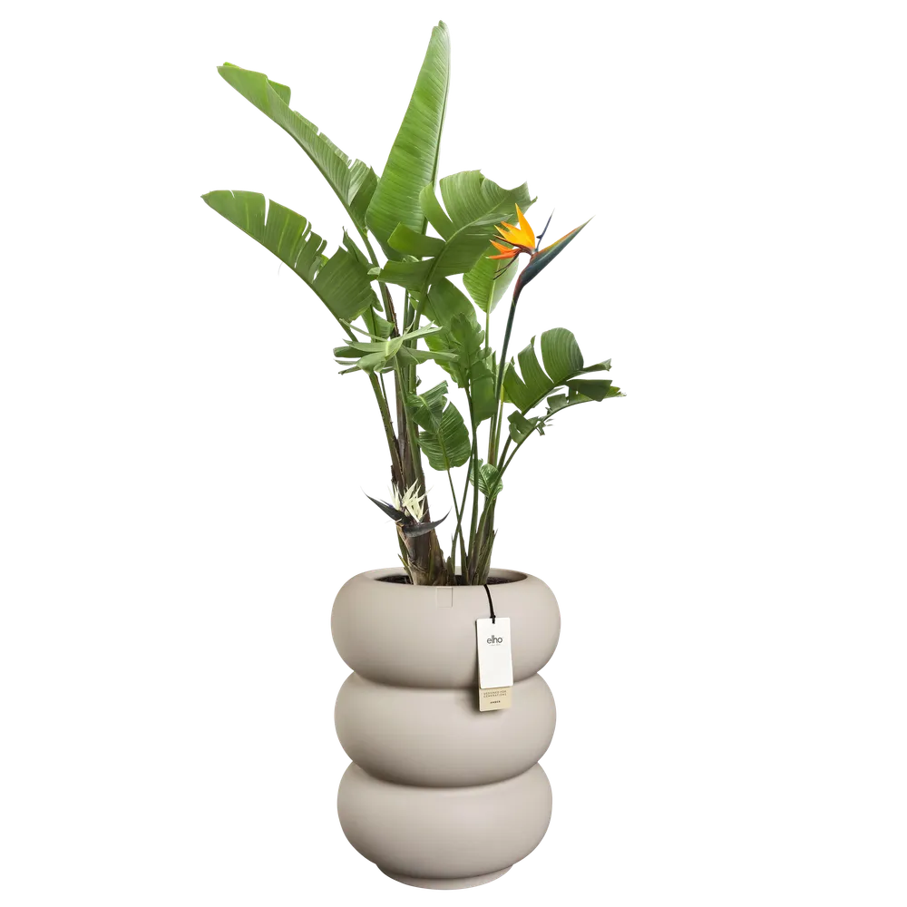 Elho Amber Roll High bloempot Ø43 cm Balanced Beige