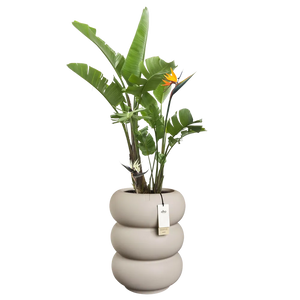 Elho Amber Roll High bloempot Ø43 cm Balanced Beige