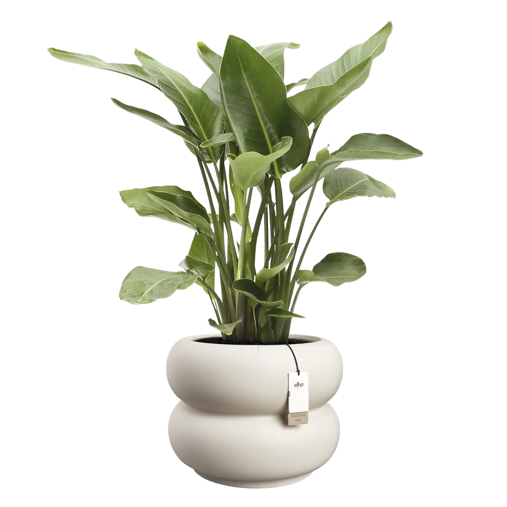 Elho Amber Roll Low bloempot Ø60 cm Linnen White