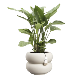 Elho Amber Roll Low bloempot Ø60 cm Linnen White