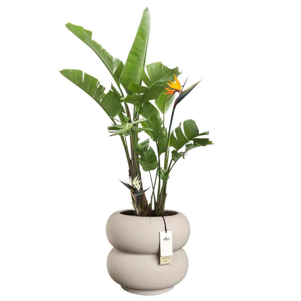 Elho Amber Roll Low bloempot Ø43 cm Balanced Beige