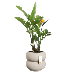 Elho Amber Roll Low bloempot Ø60 cm Balanced Beige