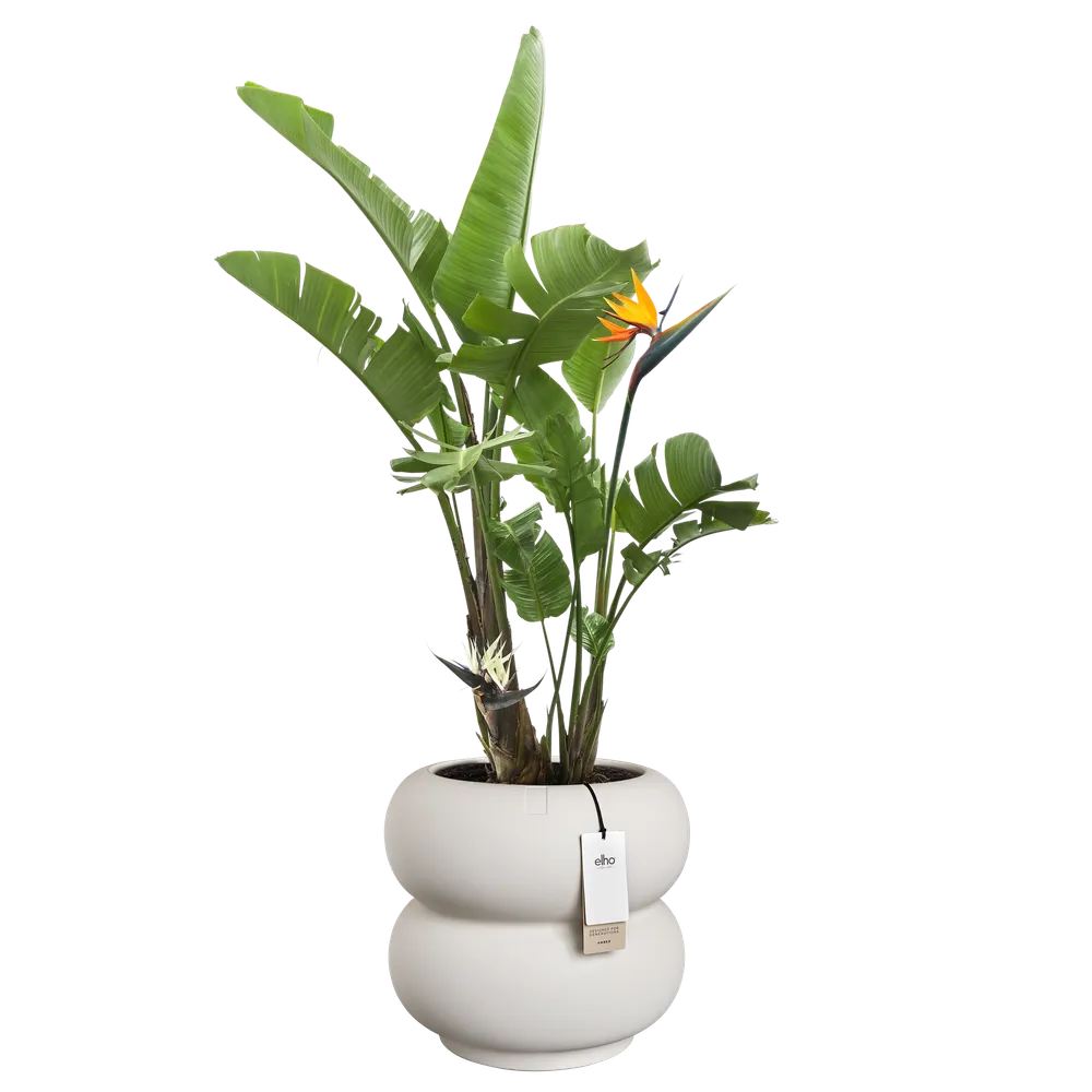 Elho Amber Roll Low bloempot Ø43 cm Linnen White
