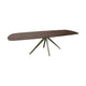 HelloTable Mido eettafel Deens Ovaal 250x100 cm eiken dark stained magnum