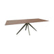 HelloTable Mido eettafel Rechthoekig 220x100 cm noten mat sunstone metallic