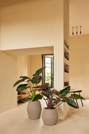 Elho June Split High bloempot Ø46 cm Balanced Beige