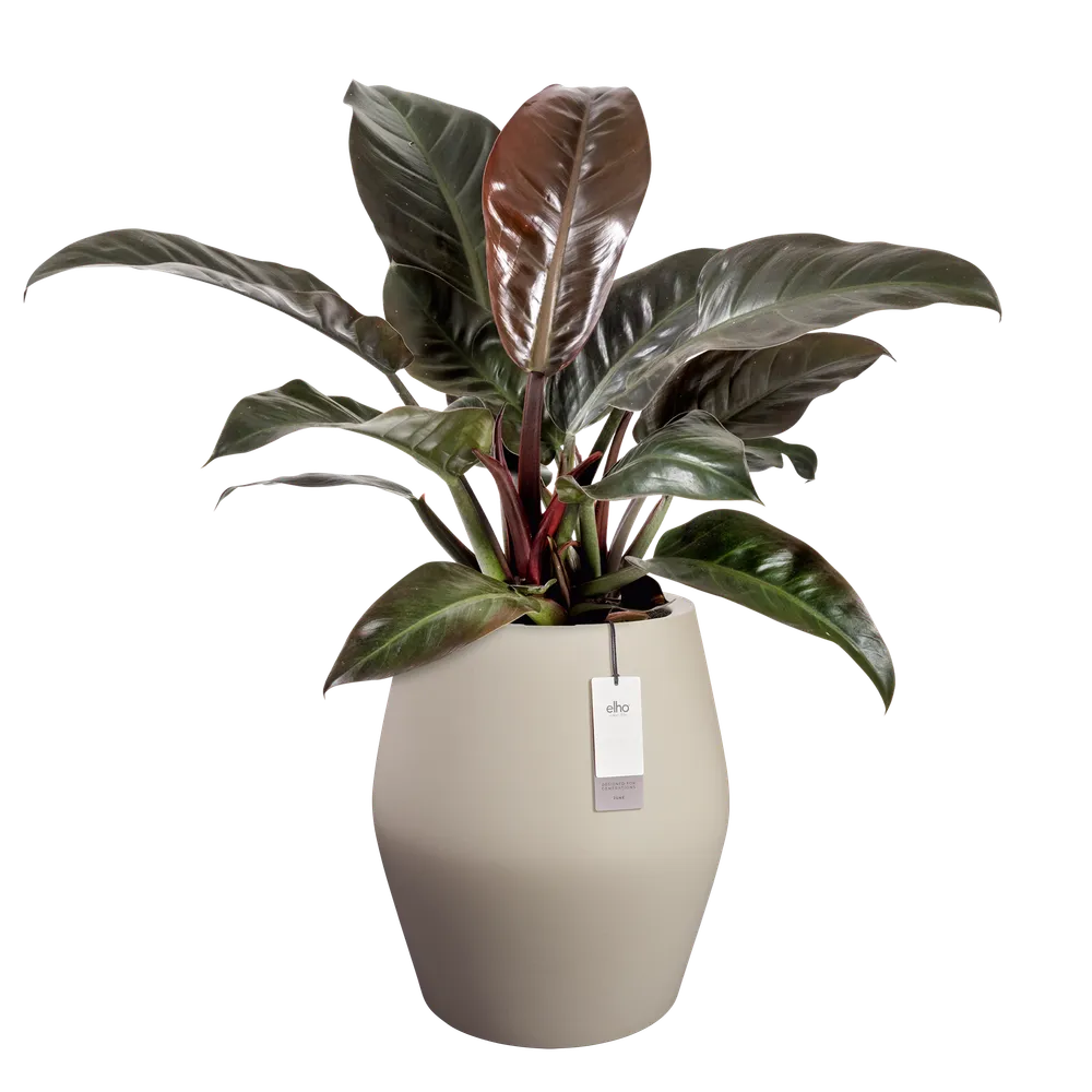 Elho June Split High bloempot Ø46 cm Balanced Beige