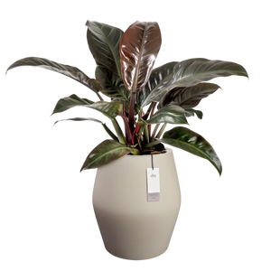 Elho June Split High bloempot Ø46 cm Balanced Beige