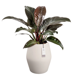 Elho June Split High bloempot Ø46 cm Linnen White