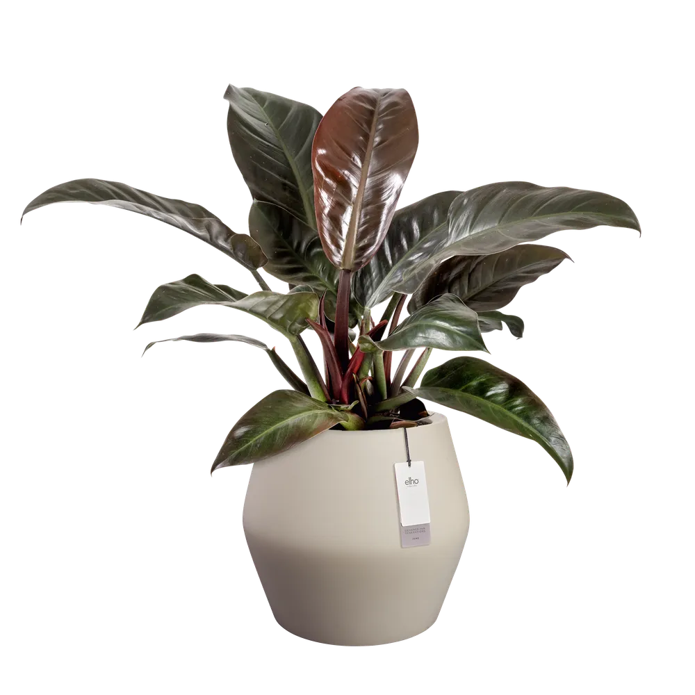 Elho June Split Low bloempot Ø46 cm Balanced Beige