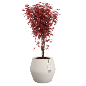Elho June Split Low bloempot Ø46 cm Linnen White